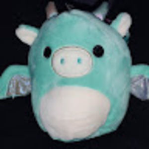 Meet your Posher, Erin